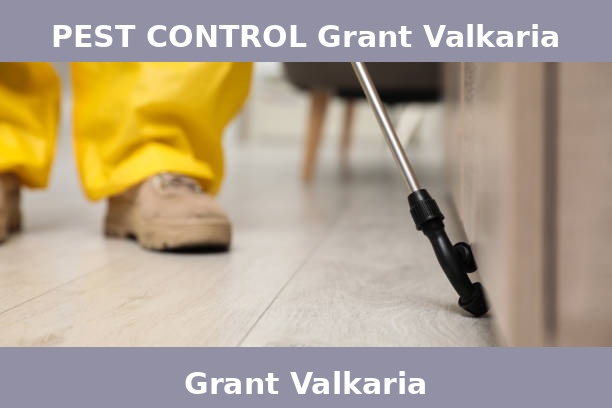 PEST CONTROL Grant Valkaria